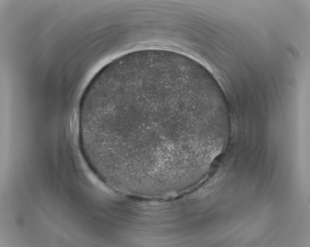 X0000112381515200909031941