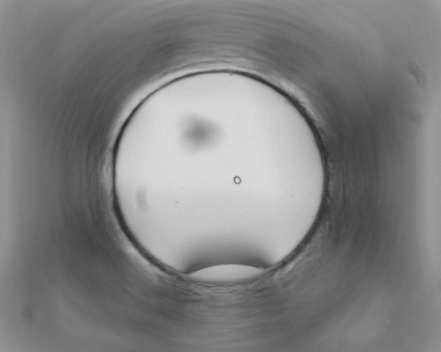 X0000112381516200909031941