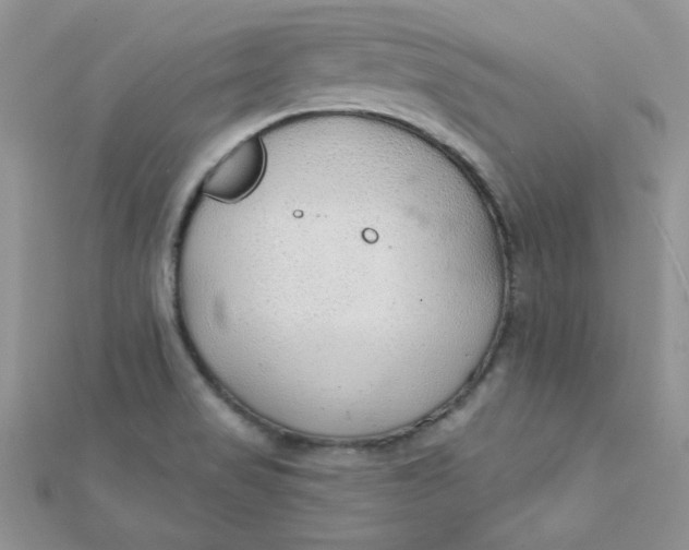 X0000112381517200909031941