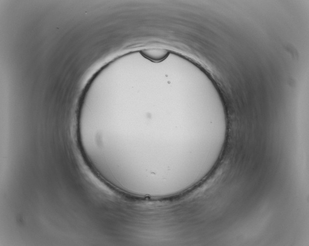 X0000112381518200909031941