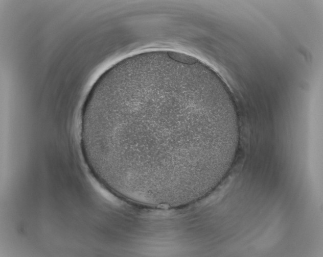 X0000112381519200909031941