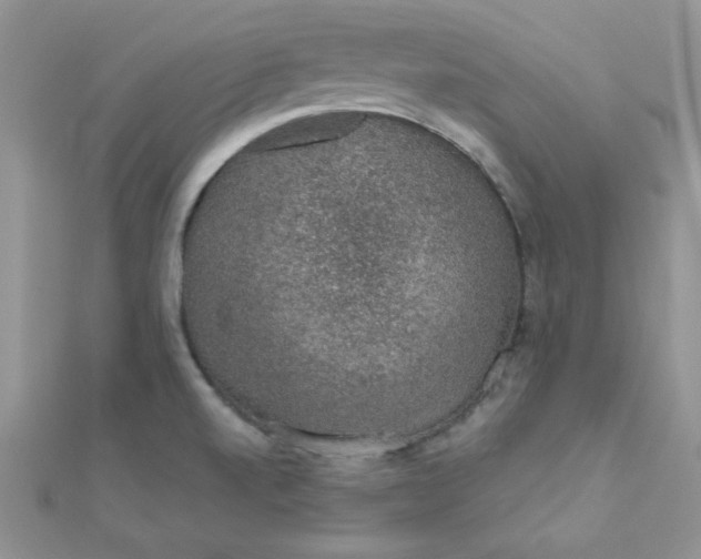 X0000112381520200909031941