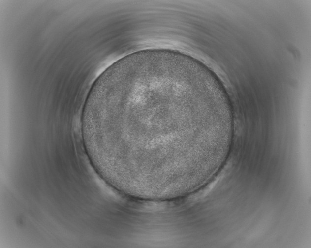 X0000112381521200909031941