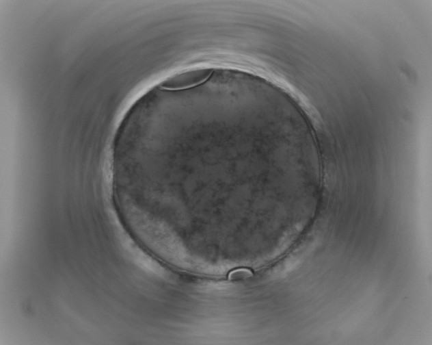 X0000112381522200909031941