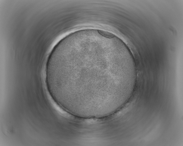 X0000112381523200909031941