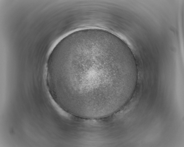 X0000112381524200909031941