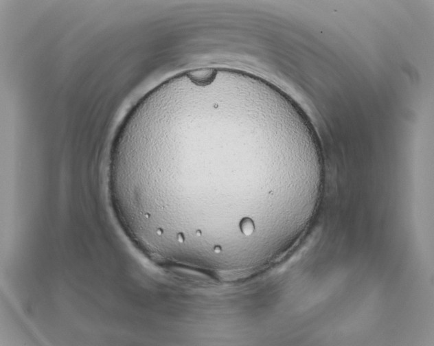 X0000112381525200909031941