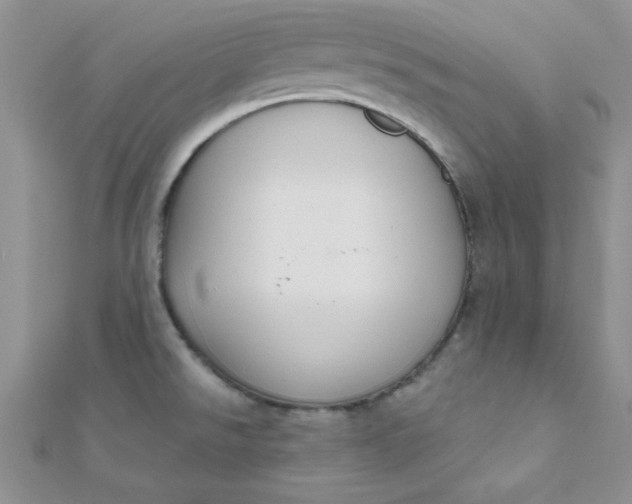 X0000112381526200909031941