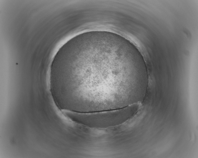 X0000112381528200909031941