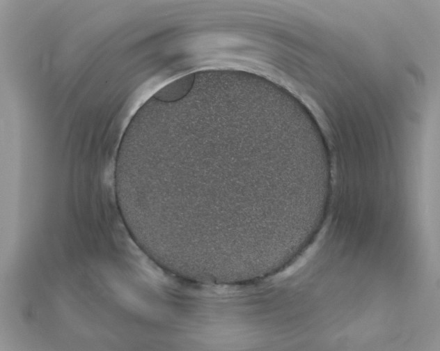 X0000112381529200909031941