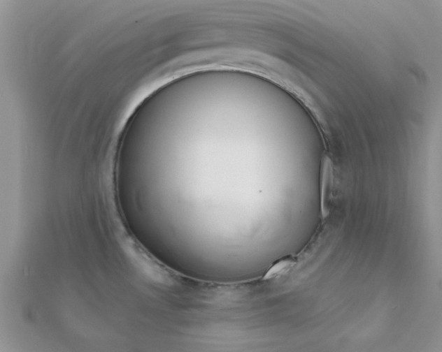 X0000112381530200909031941