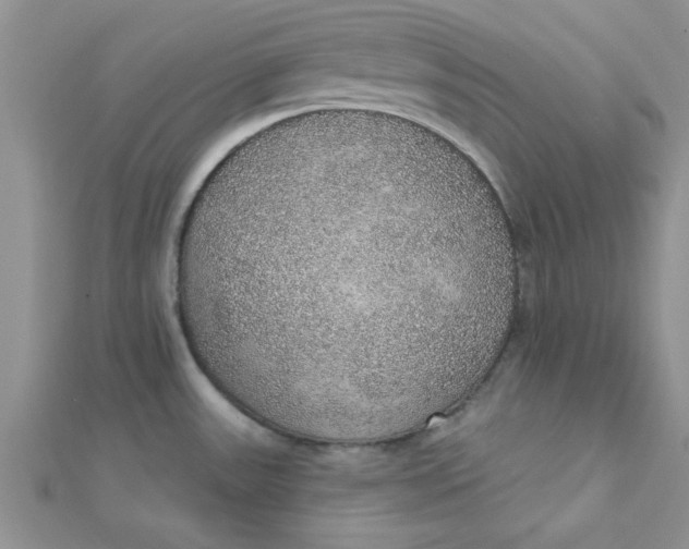 X0000112381531200909031941