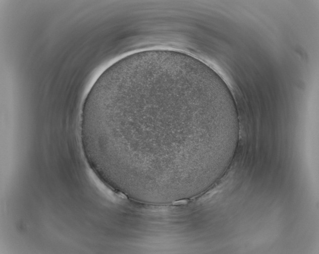 X0000112381532200909031941