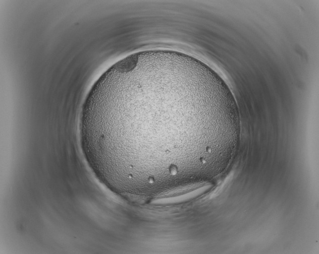 X0000112381533200909031941