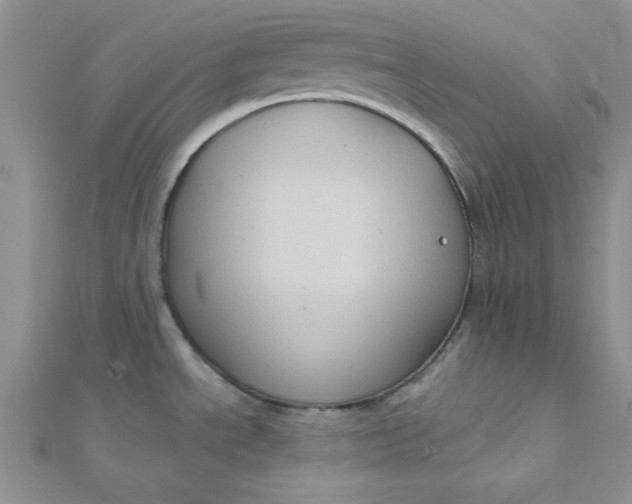 X0000112381534200909031941