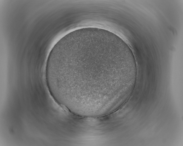 X0000112381536200909031941