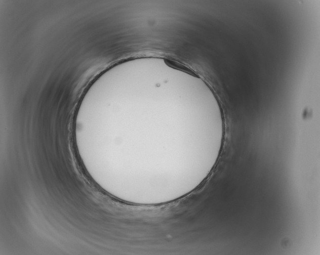 X0000112380001200909101357