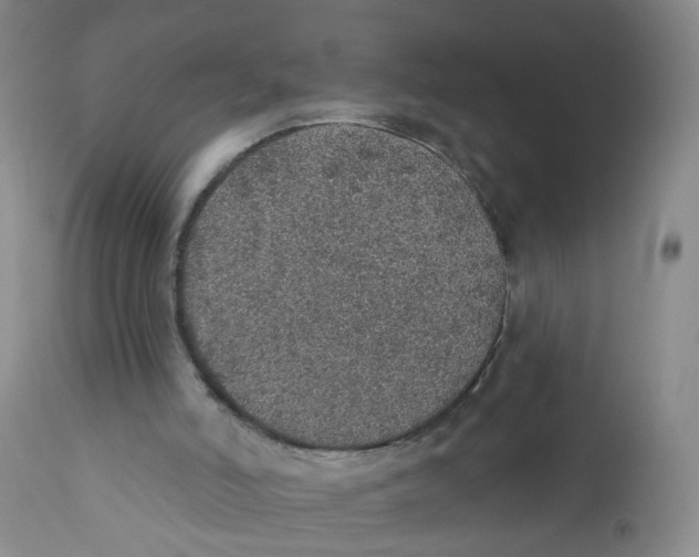 X0000112380006200909101357