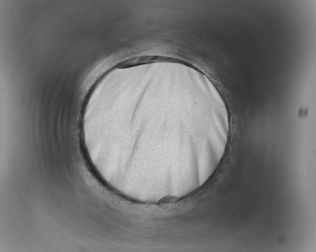 X0000112380007200909101357