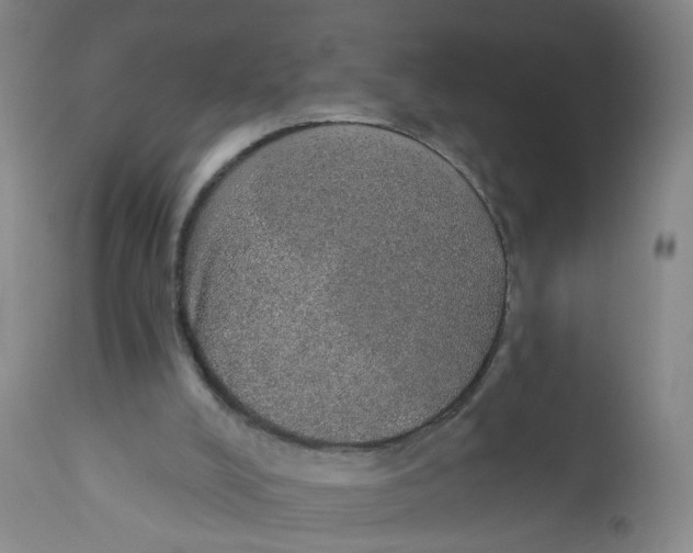 X0000112380008200909101357