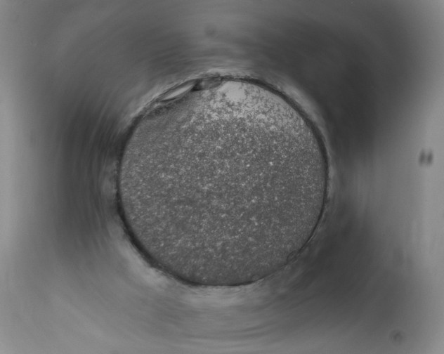 X0000112380009200909101357