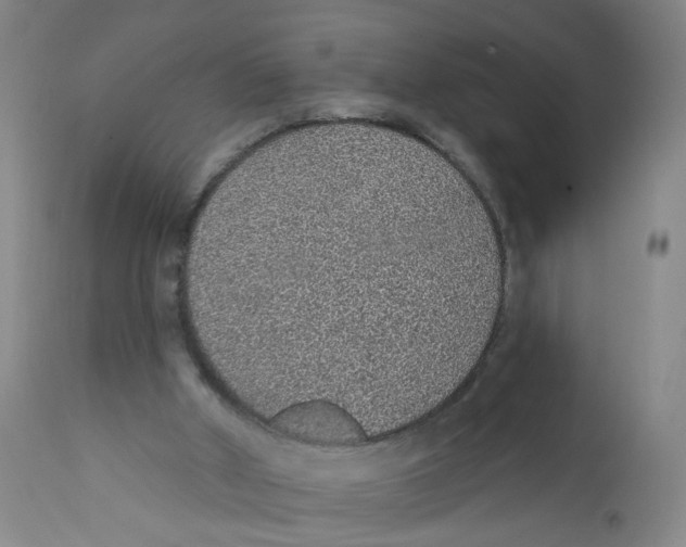 X0000112380010200909101357