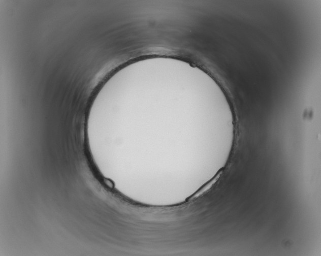 X0000112380011200909101357