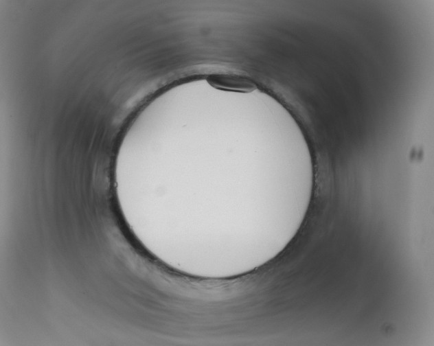 X0000112380015200909101357