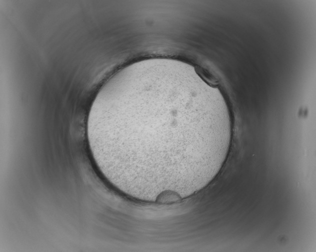 X0000112380017200909101357