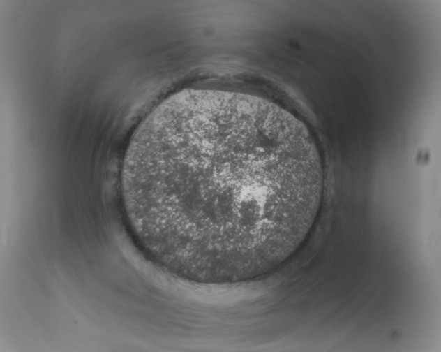 X0000112380018200909101357