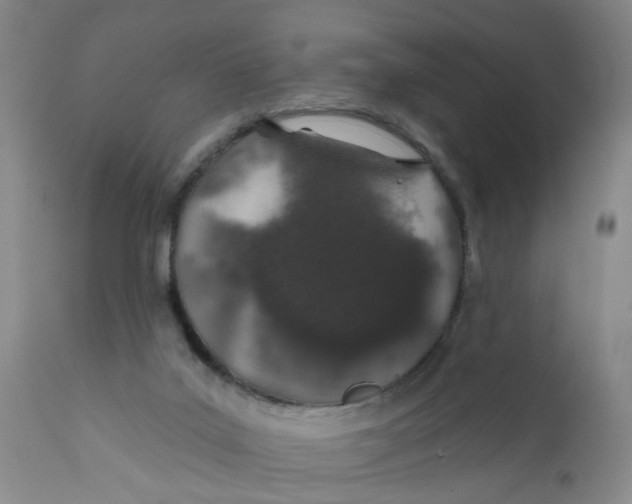 X0000112380019200909101357