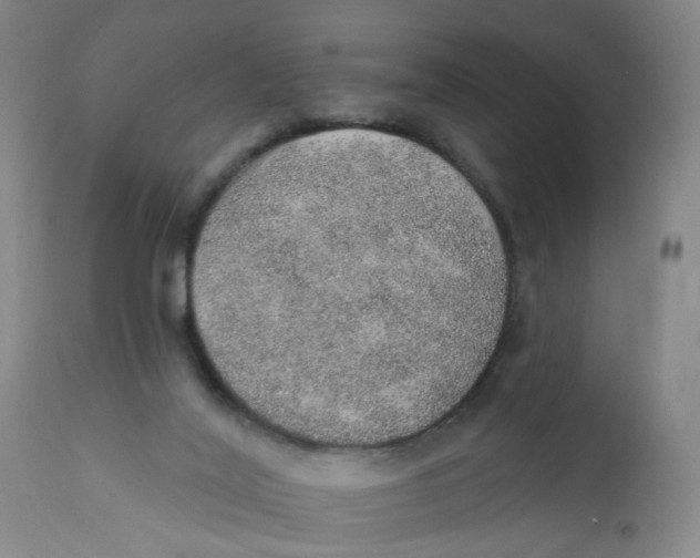 X0000112380020200909101357