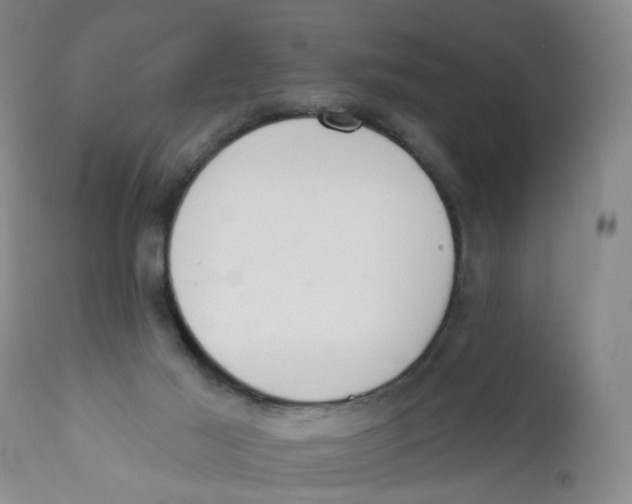 X0000112380021200909101357