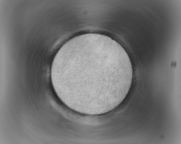 X0000112380024200909101357