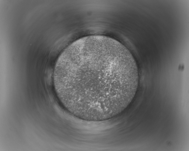 X0000112380026200909101357