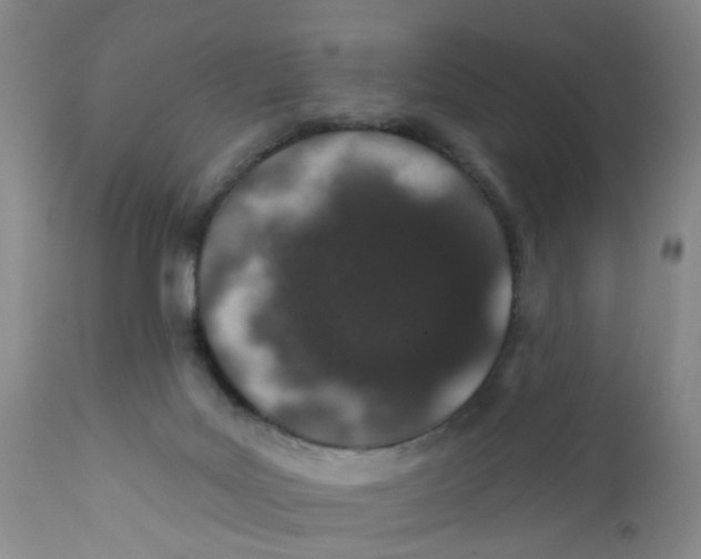 X0000112380027200909101357