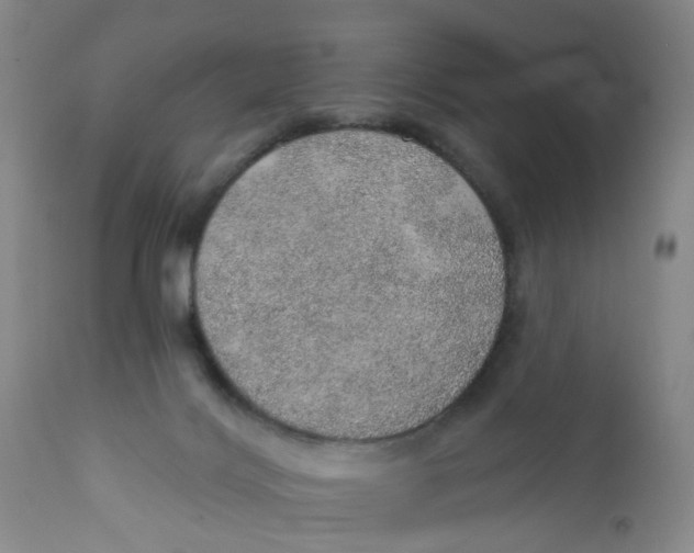 X0000112380028200909101357