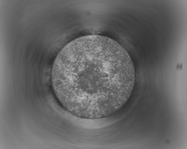 X0000112380030200909101357