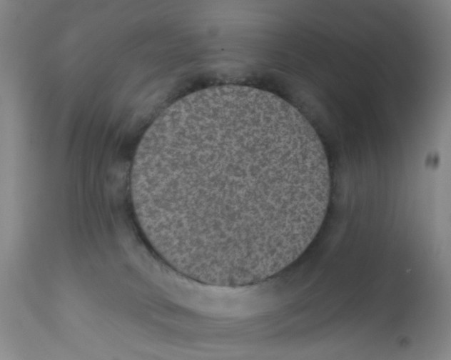 X0000112380034200909101357