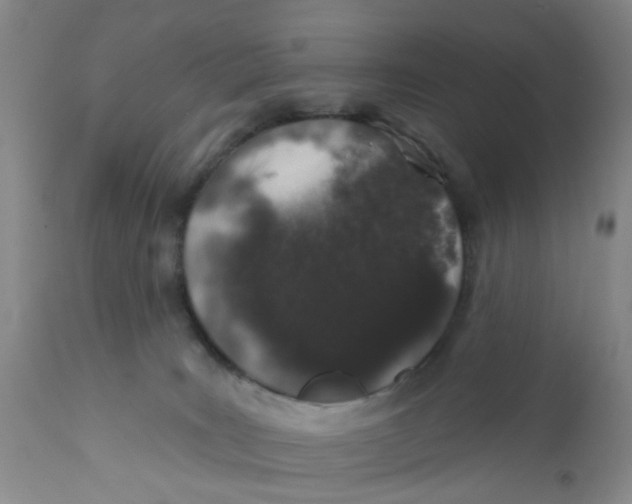 X0000112380035200909101357