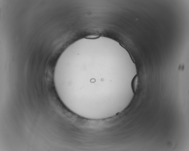 X0000112380037200909101357