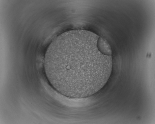 X0000112380038200909101357