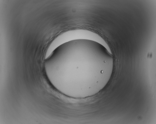 X0000112380039200909101357