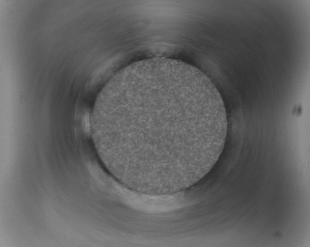 X0000112380042200909101357