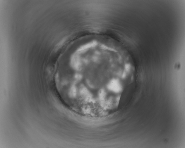 X0000112380043200909101357