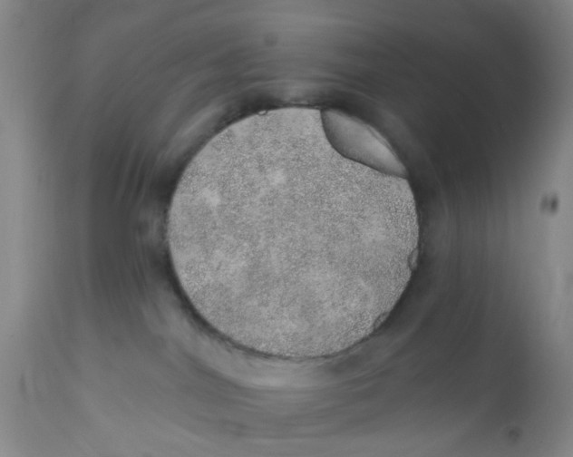 X0000112380044200909101357