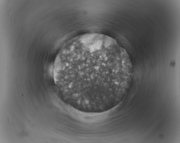 X0000112380047200909101357