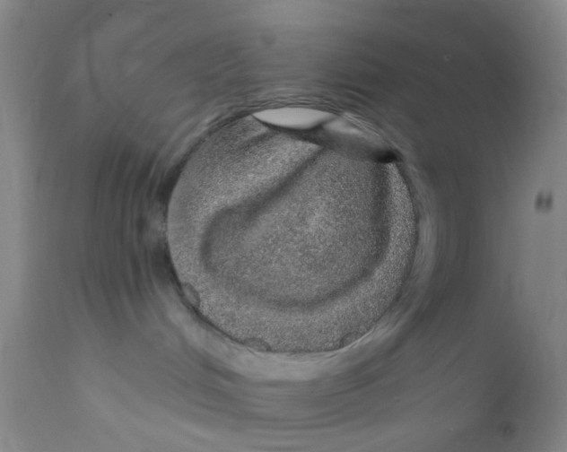 X0000112380048200909101357