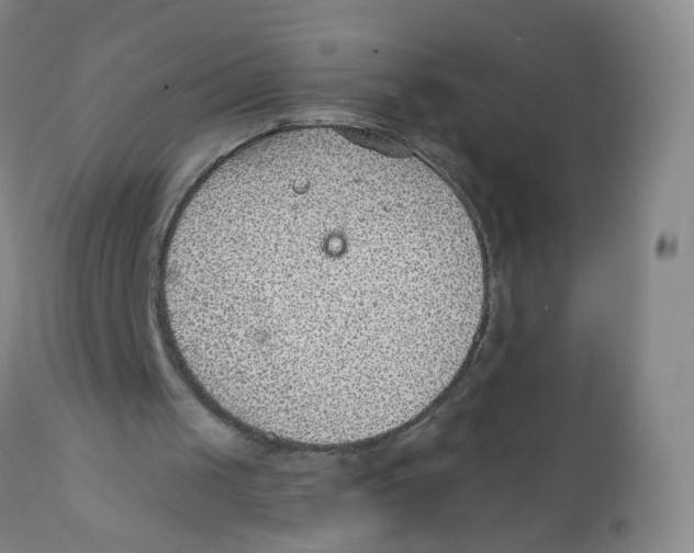 X0000112380049200909101356