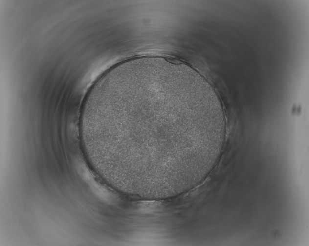 X0000112380050200909101356